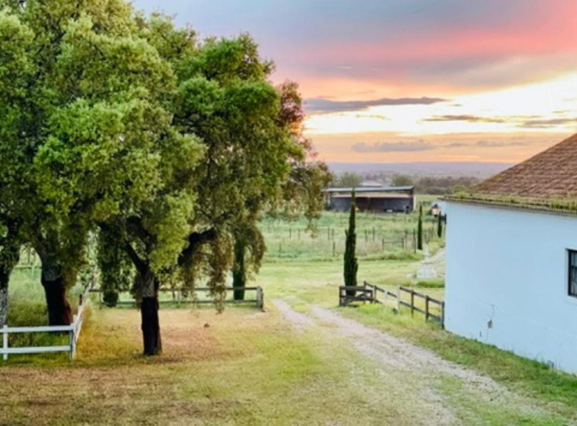 Herdade De Santa Maria アルメイリン エクステリア 写真
